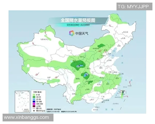 四川与上海的精彩对决回放分析与战术解读