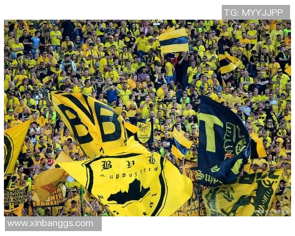 多特蒙德球迷暴力事件致欧冠客场禁赛三场并罚款五十万欧元 多特蒙德球迷暴力事件致欧冠客场禁赛三场并罚款五十万欧元