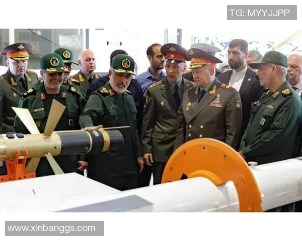 巴勒斯坦人和康塞的对决：历史背景与未来展望分析